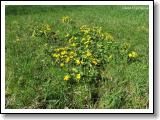 blatouch-bahenni_05.jpg
