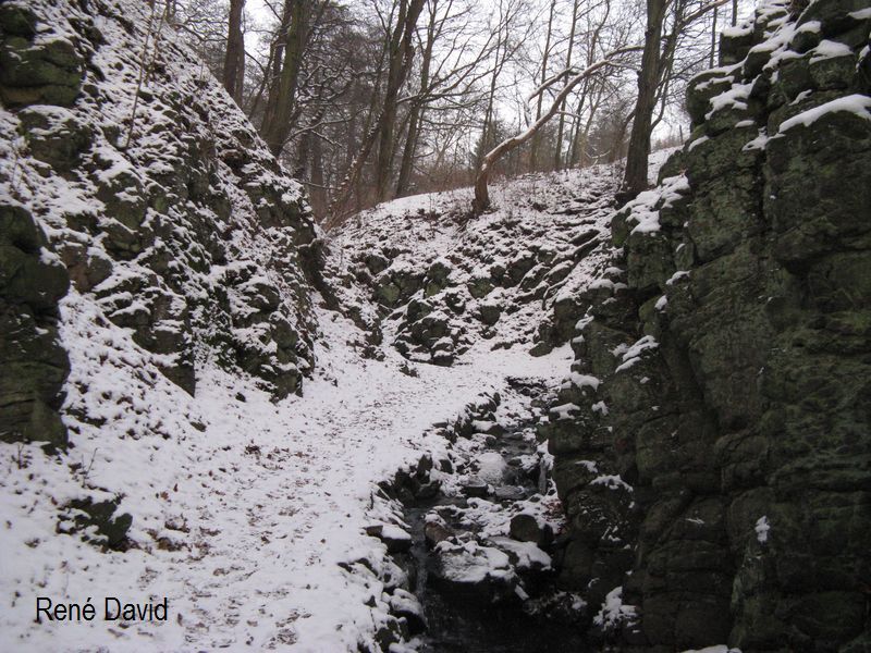 Bertino dol_05