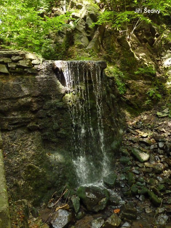Bertino dol_09