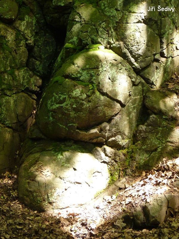 Bertino dol_11