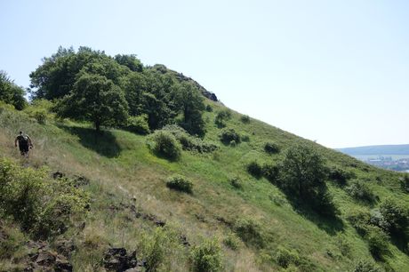 Zpráva z botanické exkurze