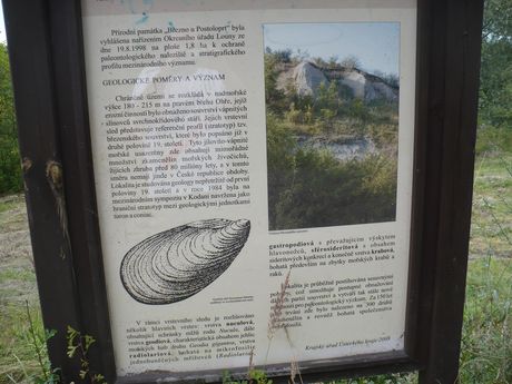 Informan tabule