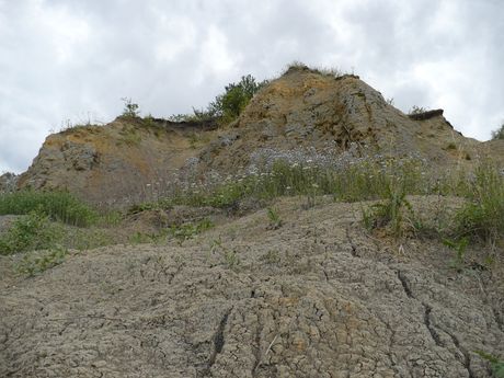 Bezensk vrstvy 1