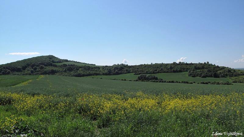 Hol vrch (u Encovan)_08