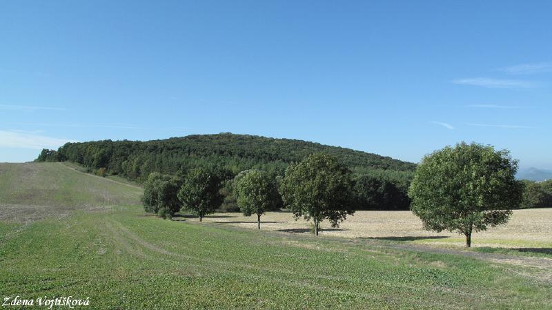 Hol vrch (u Encovan)_10