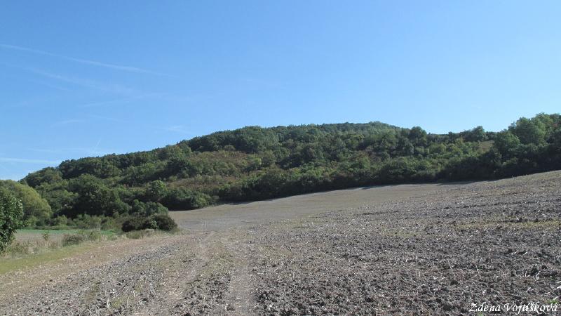 Hol vrch (u Encovan)_12