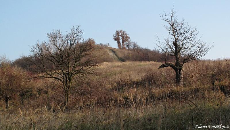 Hol vrch (u Encovan)_14
