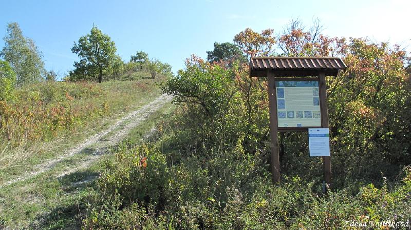 Hol vrch (u Encovan)_15