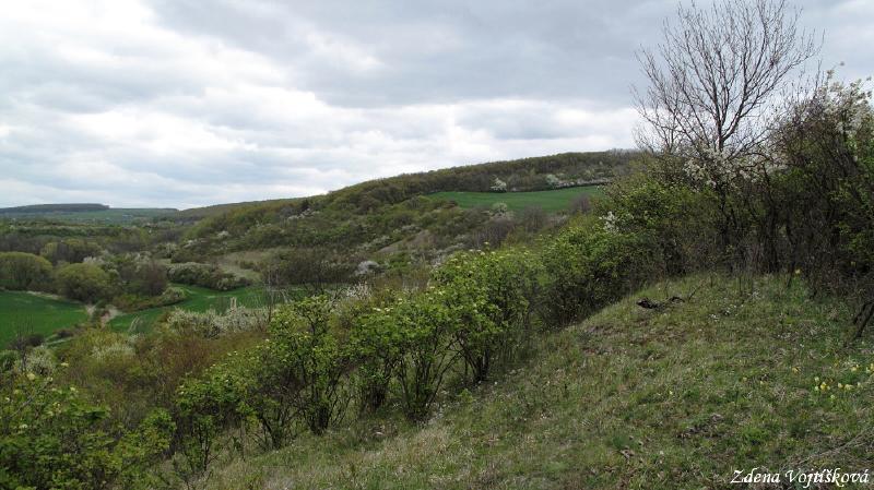 Hol vrch (u Encovan)_20