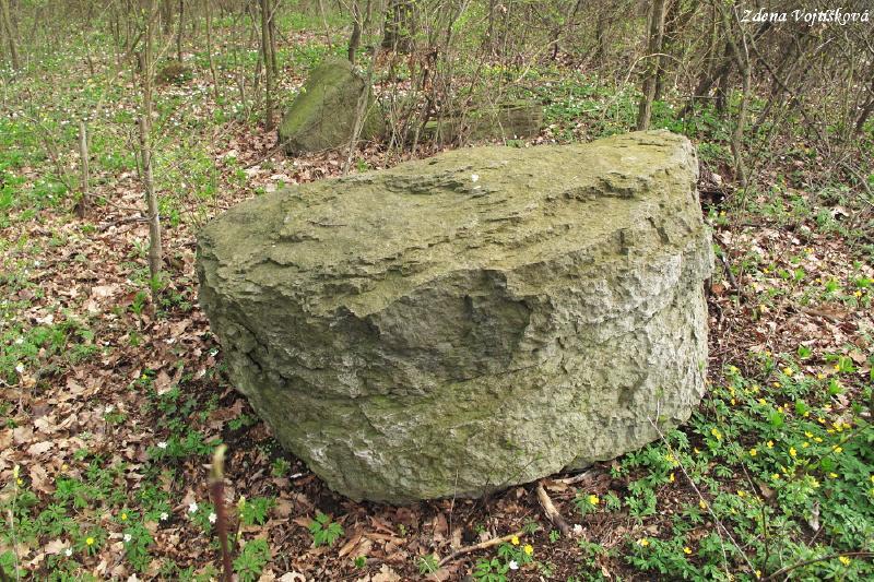 Hol vrch (u Encovan)_28