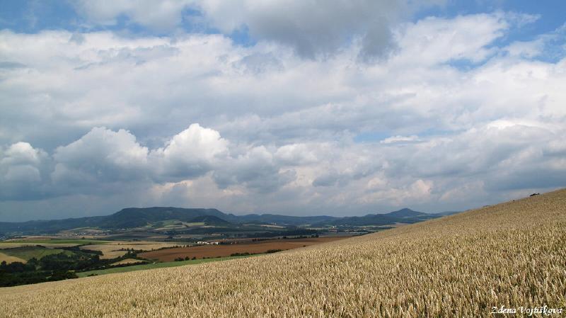 Hol vrch (u Encovan)_43