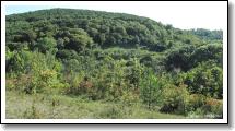 Hol vrch (u Encovan)_22.jpg