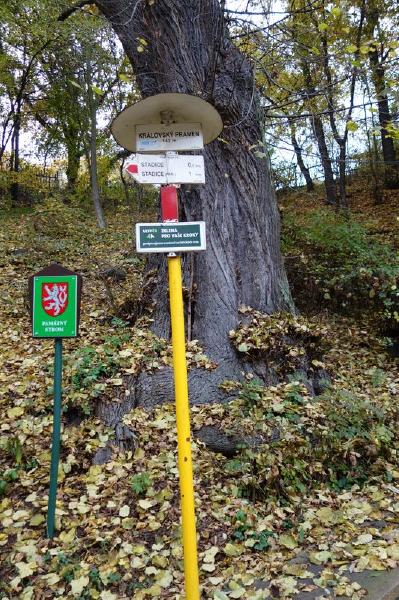 Krlovsk pramen_10