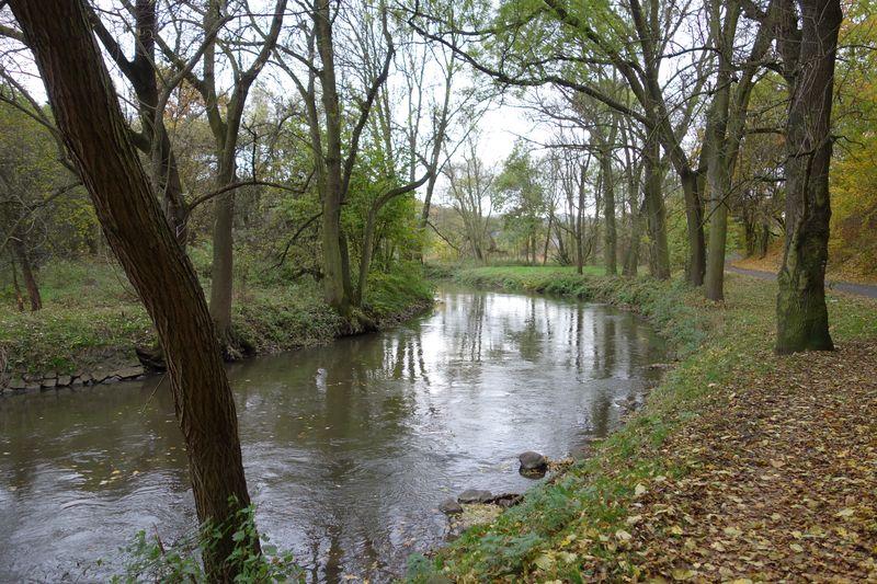 Krlovsk pramen_16