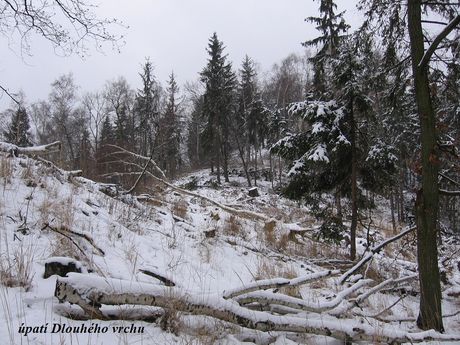 Moje vrky - foto