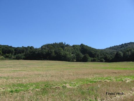 Moje vrky - foto