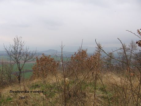 Moje vrky - foto