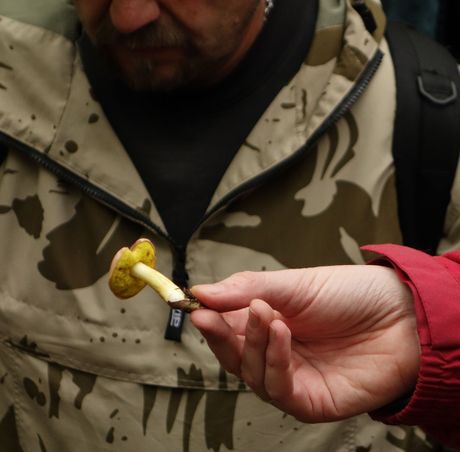 Za houbami na prodn pamtku Skalky u Tebutiek_10