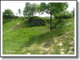 panska-skala-varhany_13.jpg