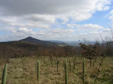 Kletečná (foceno z úpatí Milešovky)