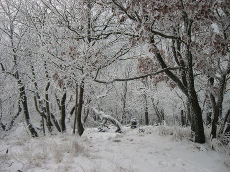 Zasnen Kleten, snmek . 14