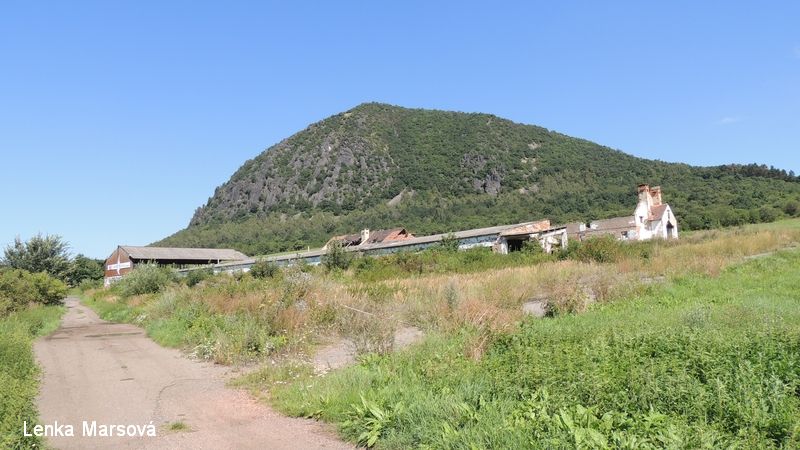 Zlatnk_08