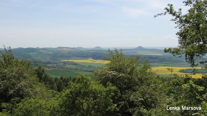 Zlatník_13