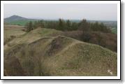 roznetinska-kveta-ceske-stredohori_29.jpg
