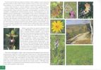 Ukzka z knihy Natura 2000 v Chrnn krajinn oblasti esk stedoho