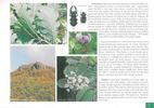 Ukzka z knihy Natura 2000 v Chrnn krajinn oblasti esk stedoho