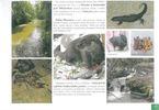 Ukzka z knihy Natura 2000 v Chrnn krajinn oblasti esk stedoho
