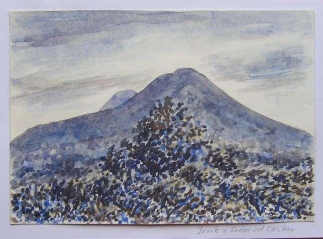Obraz Jany Haasov