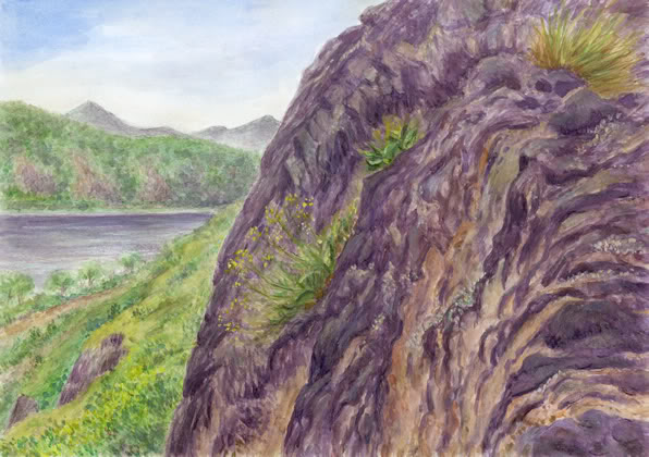Obraz Jany Haasov
