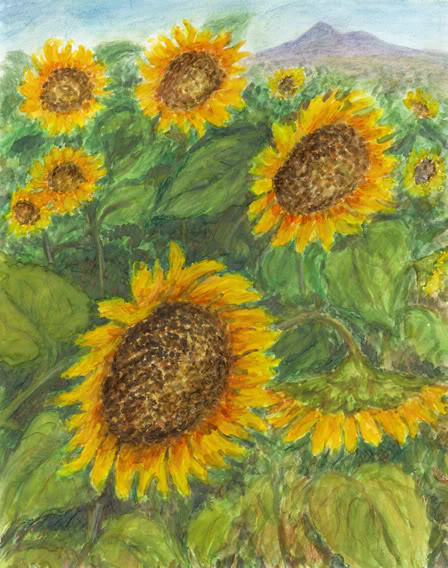 Obraz Jany Haasov