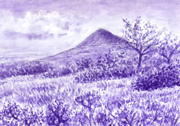 Obraz Jany Haasov