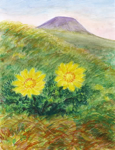 Obraz Jany Haasov