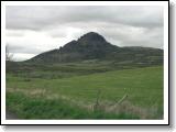 boren-07.jpg