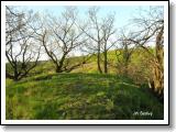 spicak-u-babin_19.jpg