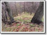 spicak-u-babin_22.jpg